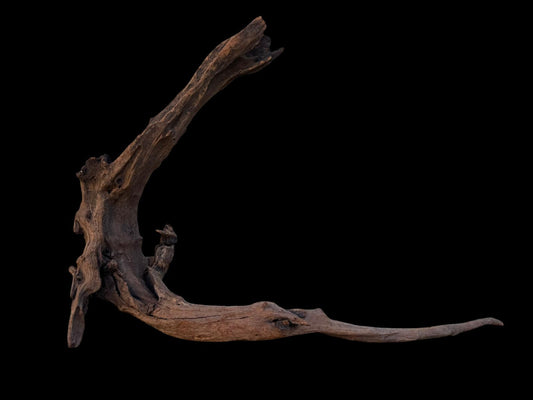 Drift Wood - 62*16*42- cod.088 AQPET