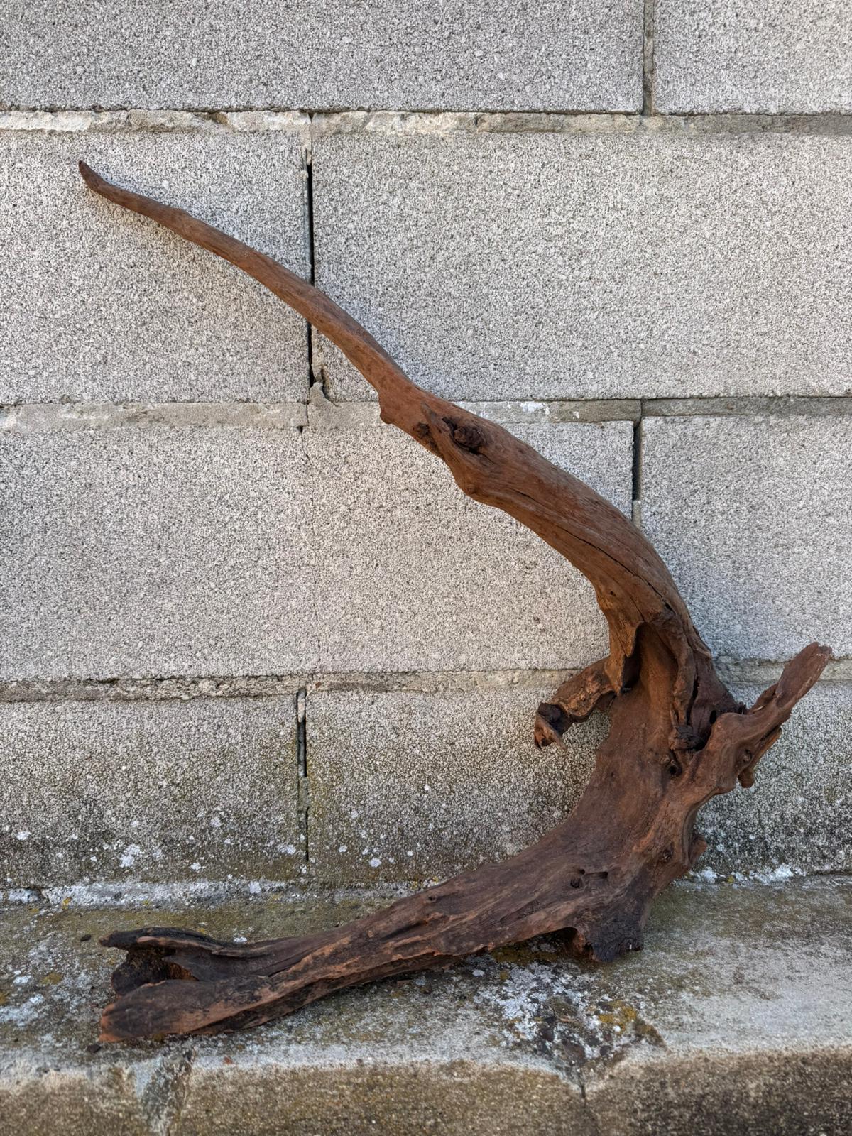 Drift Wood - 62*16*42- cod.088 AQPET