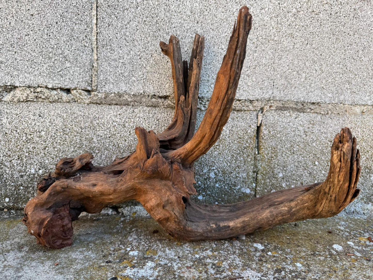 Drift Wood - 34*13*30- cod.089 AQPET