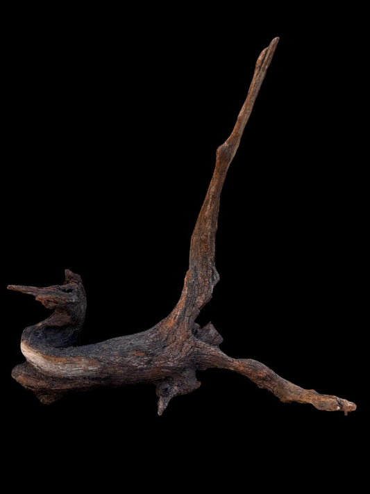 Drift Wood - 46*23*49- cod.090 AQPET