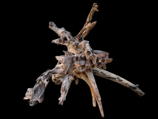 Drift Wood - 47*20*37- cod.091 AQPET