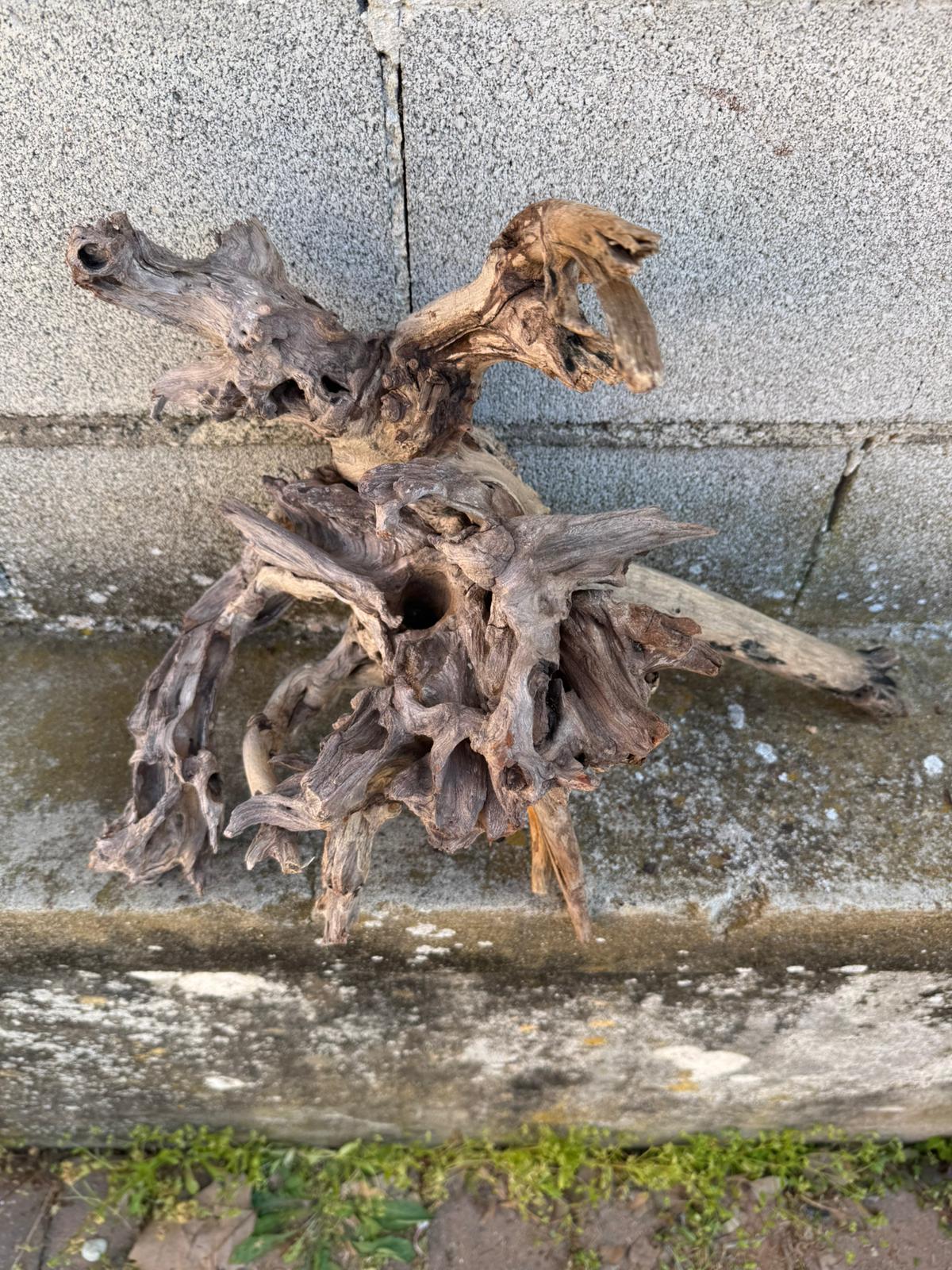 Drift Wood - 47*20*37- cod.091 AQPET