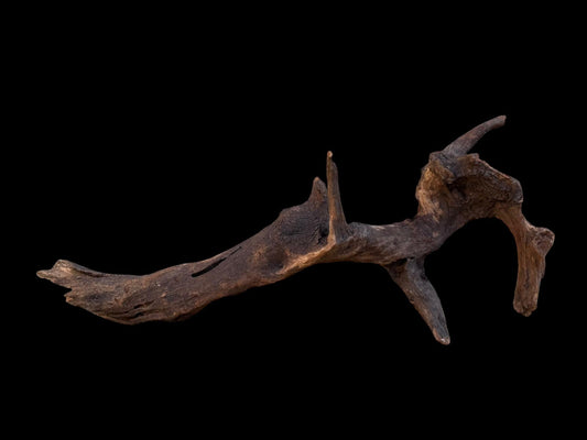 Drift Wood - 66*14*26- cod.093 AQPET