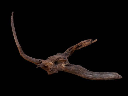 Drift Wood - 55*14*34- cod.094 AQPET