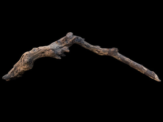 Drift Wood - 63*13*19 - cod.095 AQPET