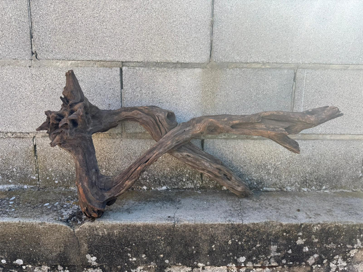Drift Wood - 68*29*32 - cod.096 AQPET