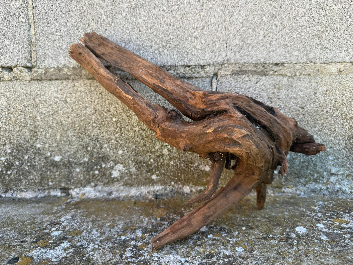Drift Wood - 20*14*25 - cod.097 AQPET