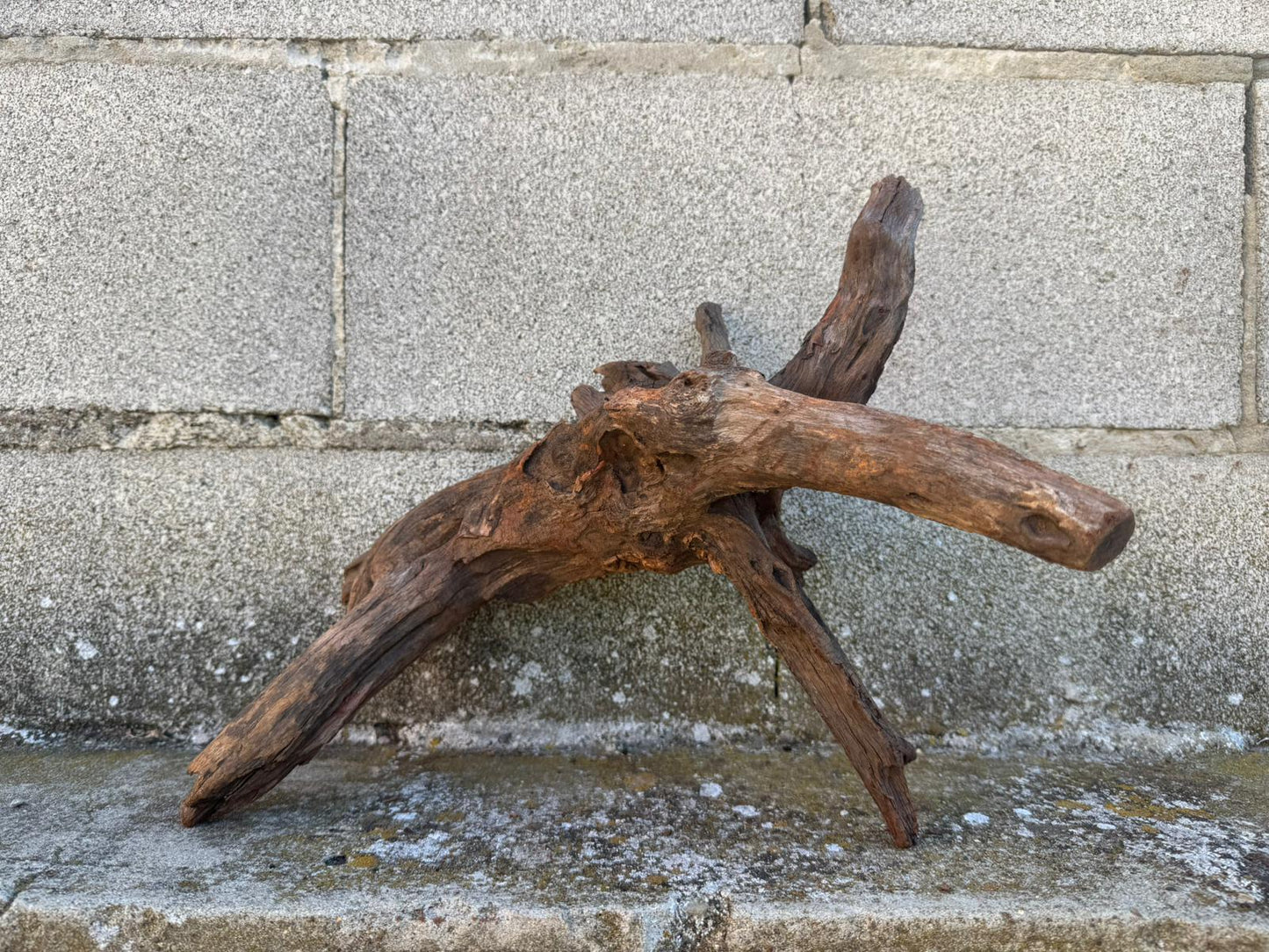Drift Wood - 40*17*23 - cod.098 AQPET