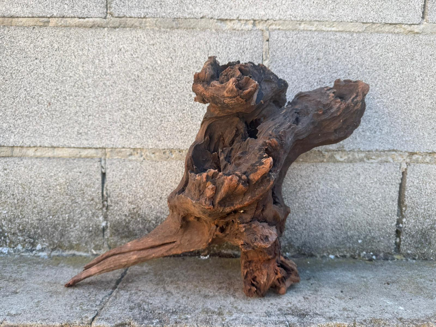 Drift Wood - 48*21*23 - cod.101 AQPET