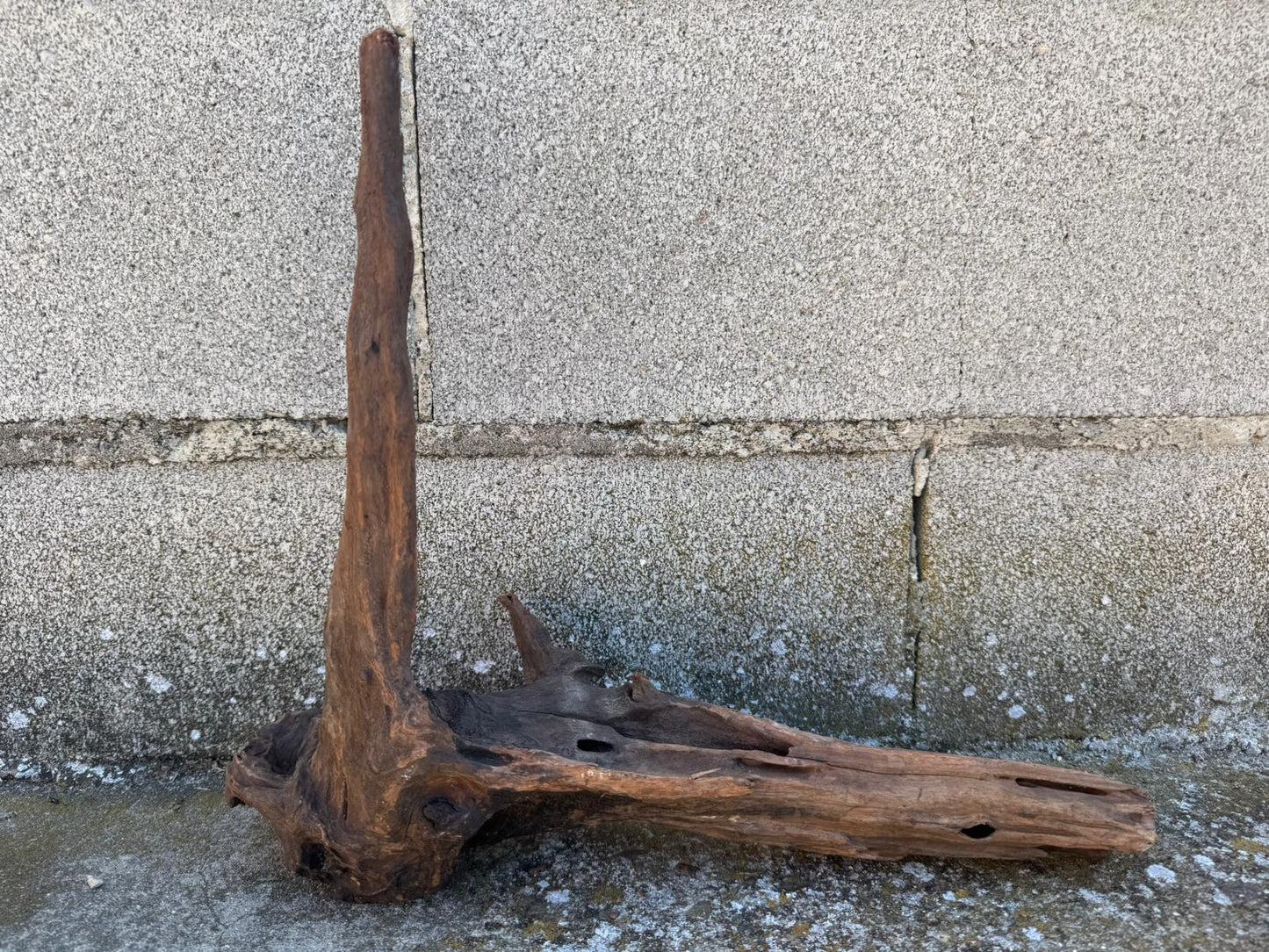 Drift Wood - 33*12*36 - cod.105 AQPET