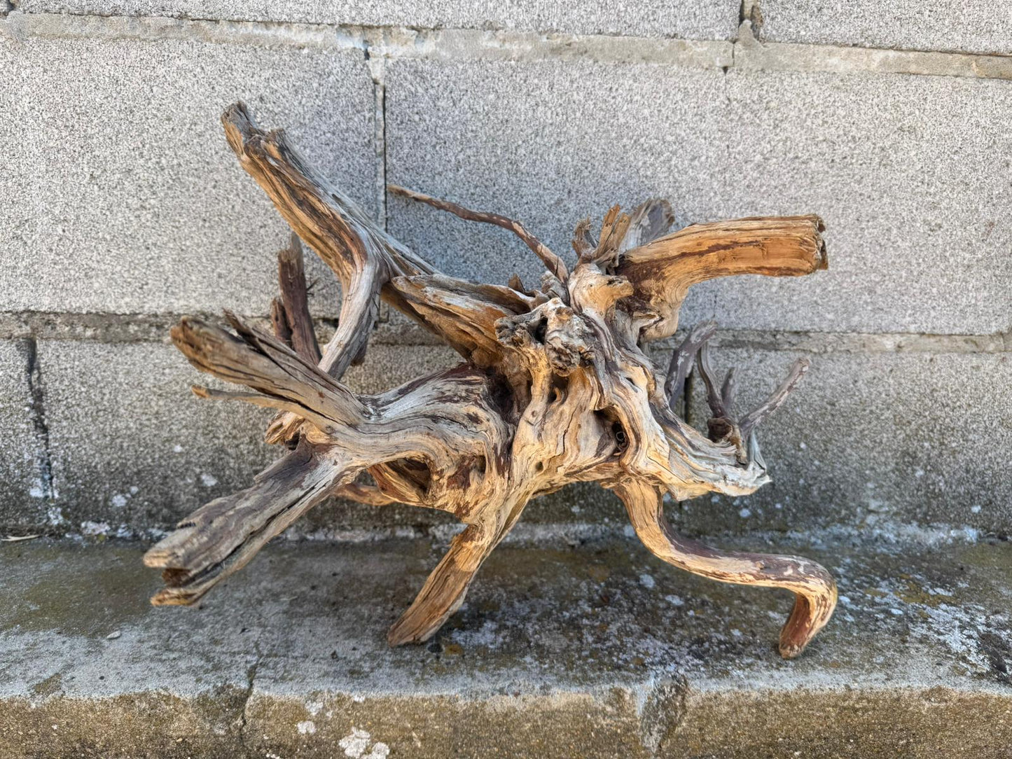 Drift Wood - 41*31*26 - cod.109 AQPET