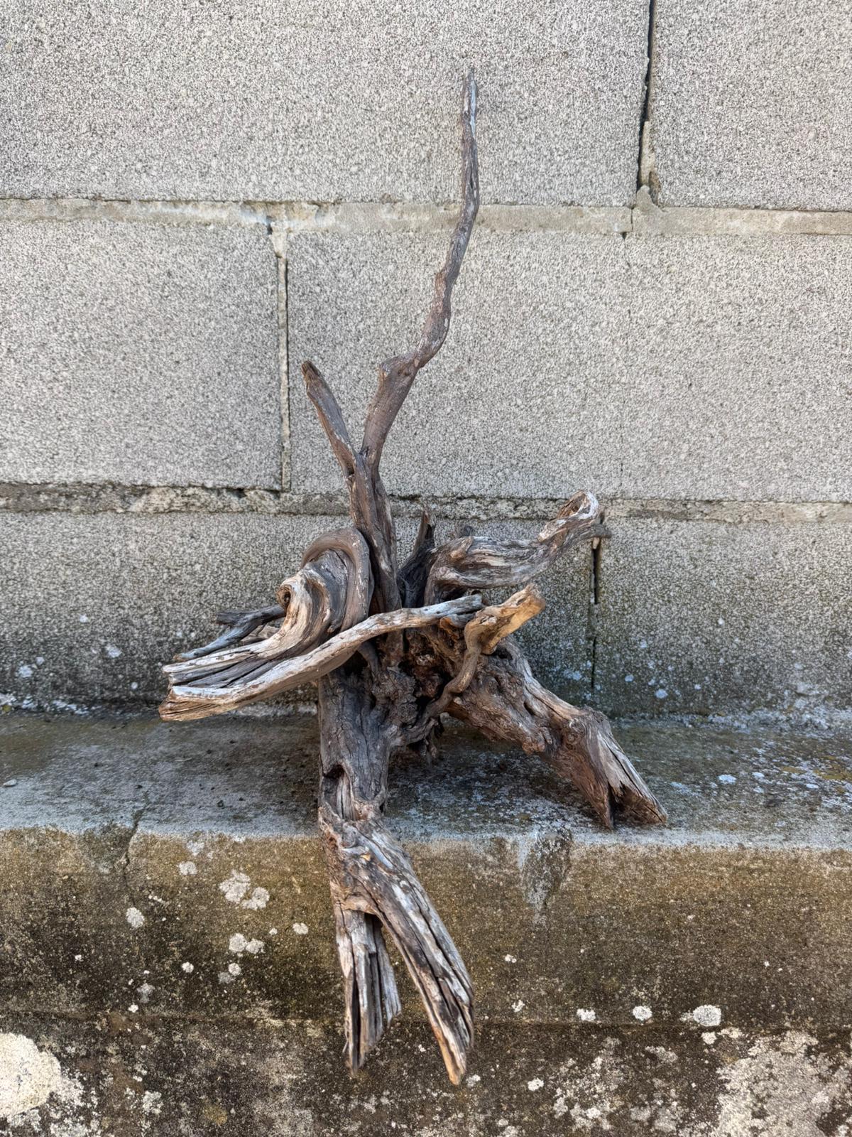 Drift Wood - 54*27*30 - cod.110 AQPET