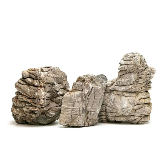 AQPET - Black Mountain WIO