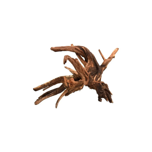 AQPET - Drift Wood WIO