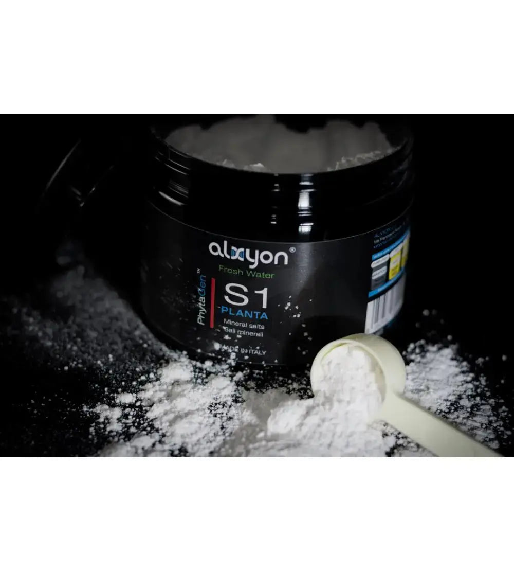 ALXYON ReBalance GH+ ALXYON