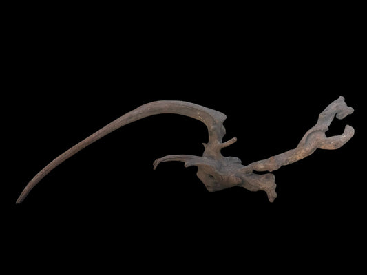 Drift Wood - 64*19*20 - cod.104 AQPET