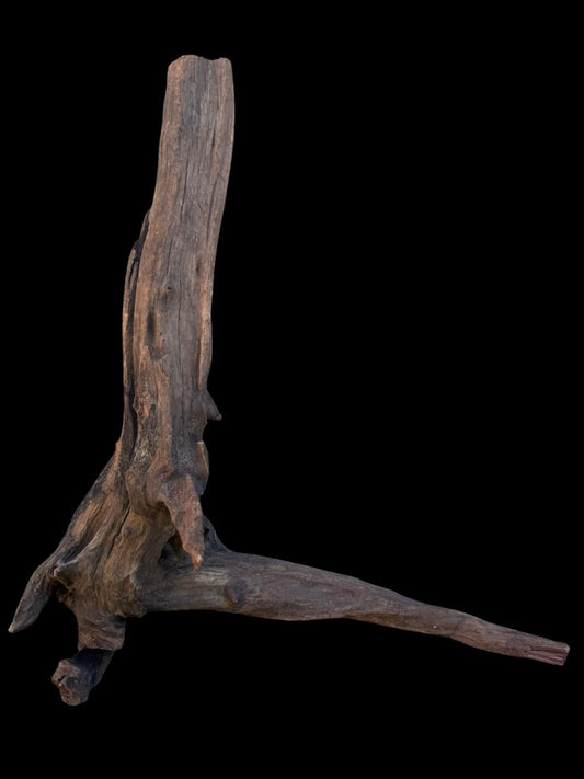 Drift Wood - 33*12*36 - cod.105 AQPET