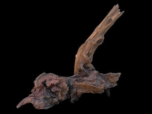 Drift Wood - 27*16*27 - cod.106 AQPET
