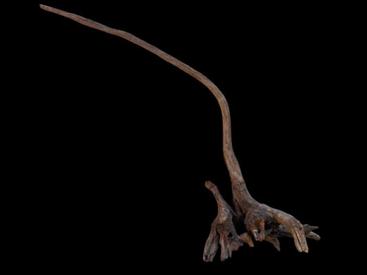 Drift Wood - 58*13*50- cod.107 AQPET