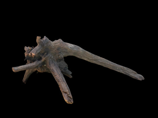 Drift Wood - 48*21*17- cod.108 AQPET