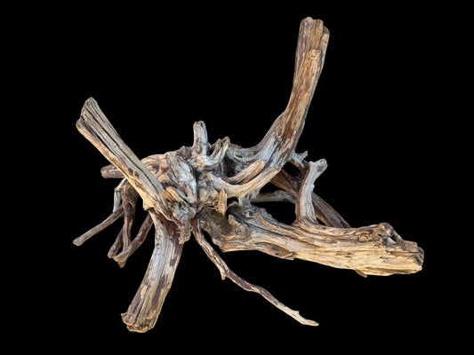 Drift Wood - 41*31*26 - cod.109 AQPET