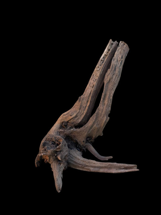 Drift Wood - 20*14*25 - cod.097 AQPET