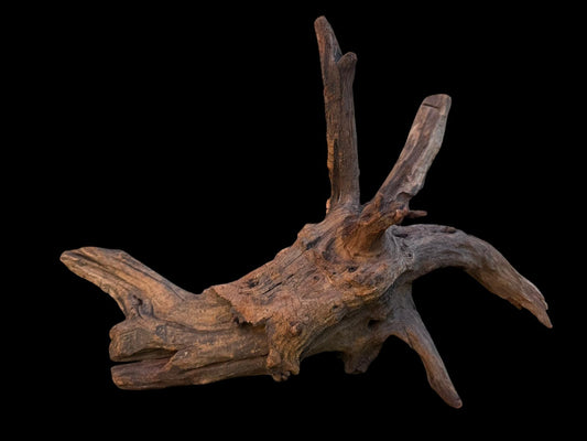 Drift Wood - 40*17*23 - cod.098 AQPET