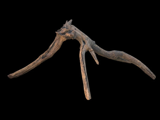Drift Wood - 61*20*25- cod.103 AQPET