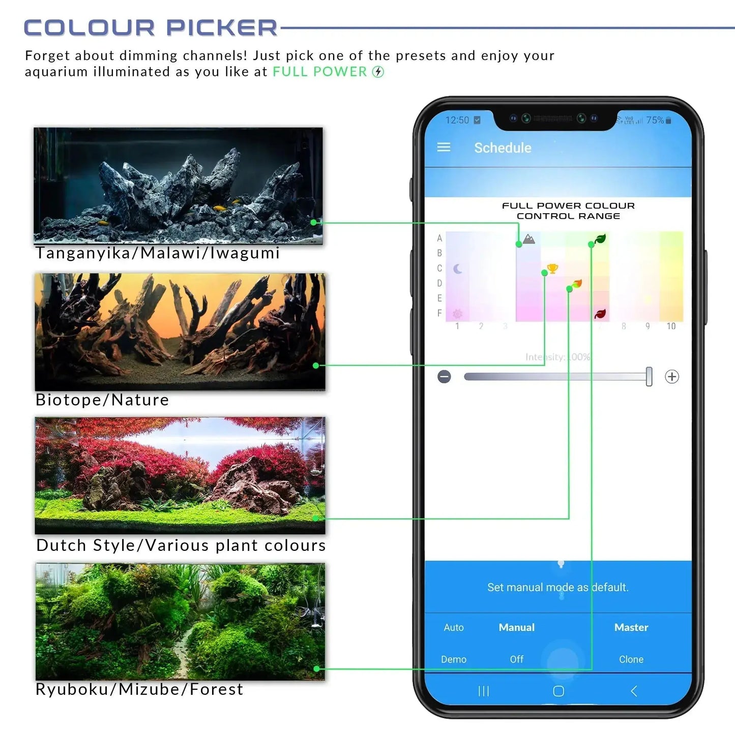 SKYLIGHT - Hyerbar XS.15 Aquarium Setup