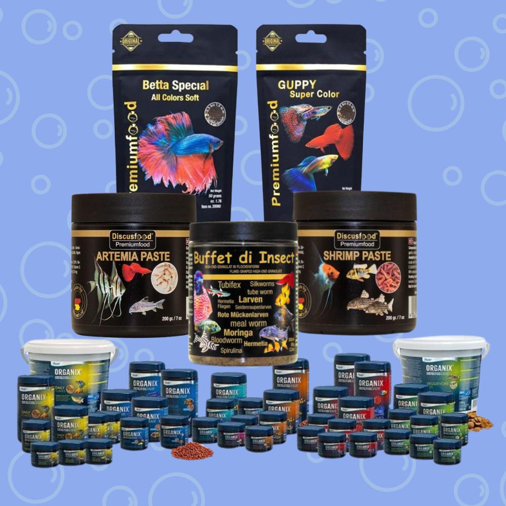 Mangimi Aquarium Setup