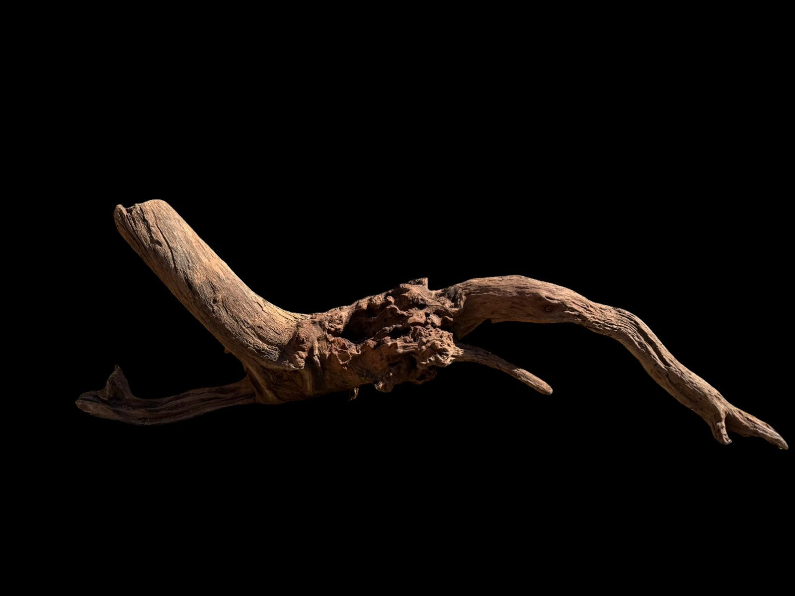 Drift Wood - 69*18*22 - cod.074 AQPET