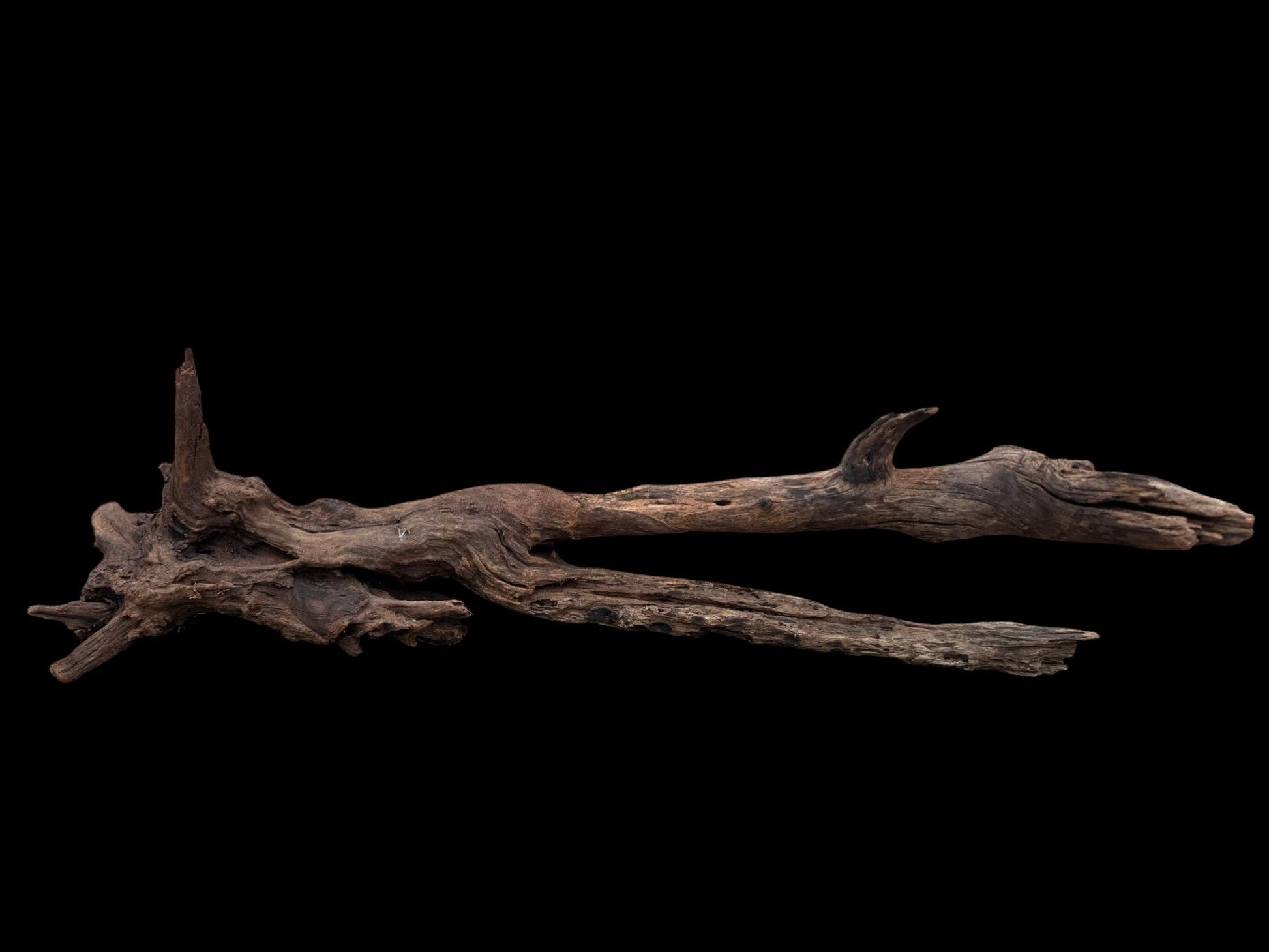 Drift Wood - 81*28*24 - cod.077 AQPET