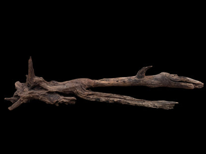 Drift Wood - 81*28*24 - cod.077 AQPET