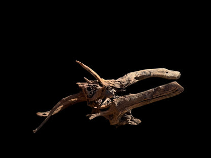 Drift Wood - 66*26*28 - cod.069 AQPET