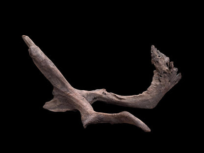 Drift Wood - 76*47*36 - cod.078 AQPET