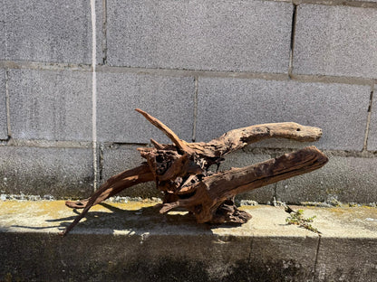 Drift Wood - 66*26*28 - cod.069 AQPET