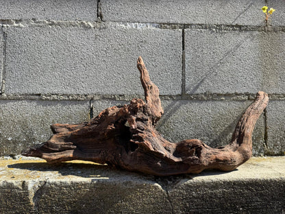 Drift Wood - 66*20*25 - cod.071 AQPET