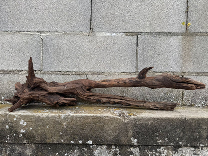 Drift Wood - 81*28*24 - cod.077 AQPET