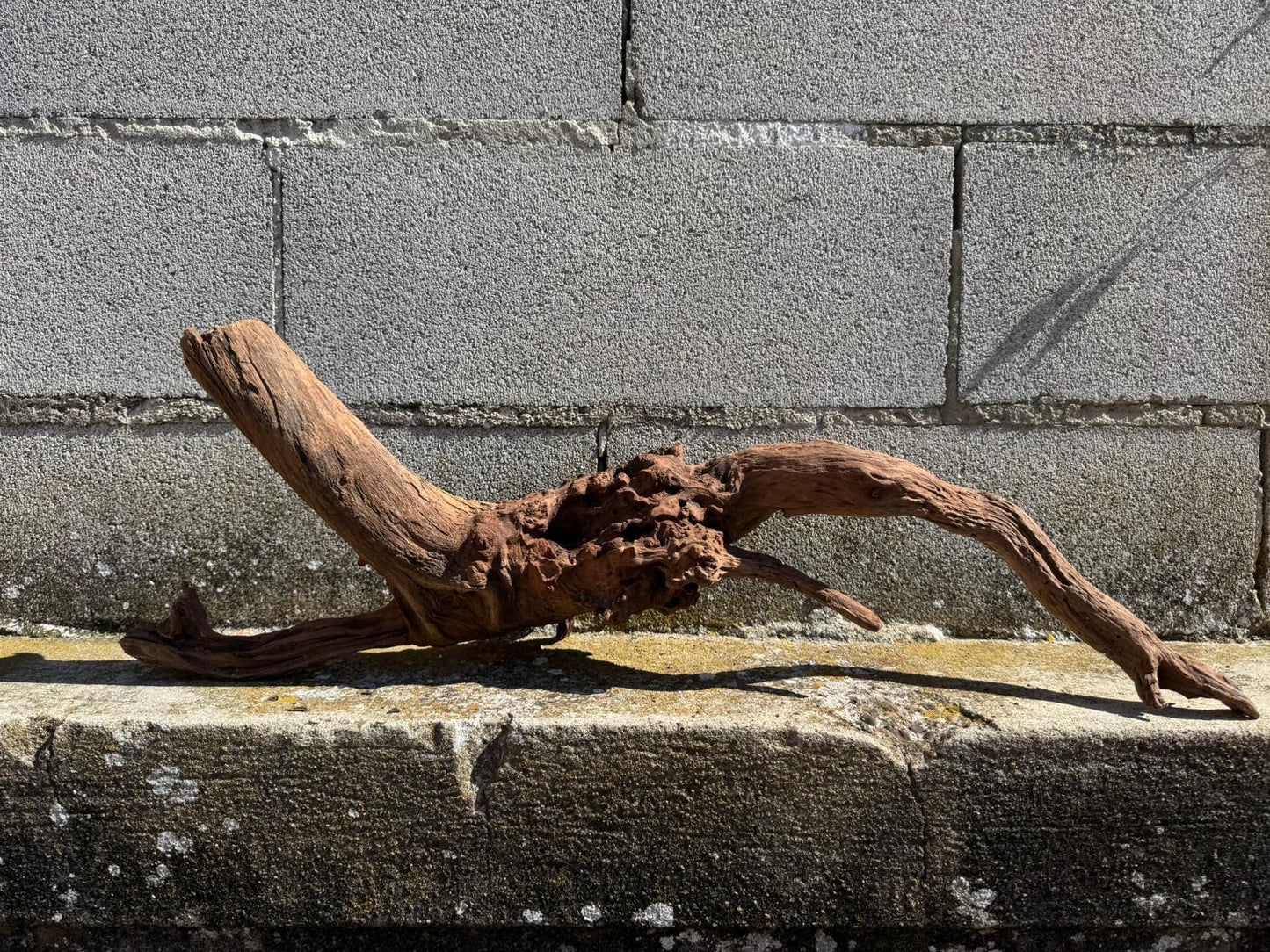 Drift Wood - 69*18*22 - cod.074 AQPET