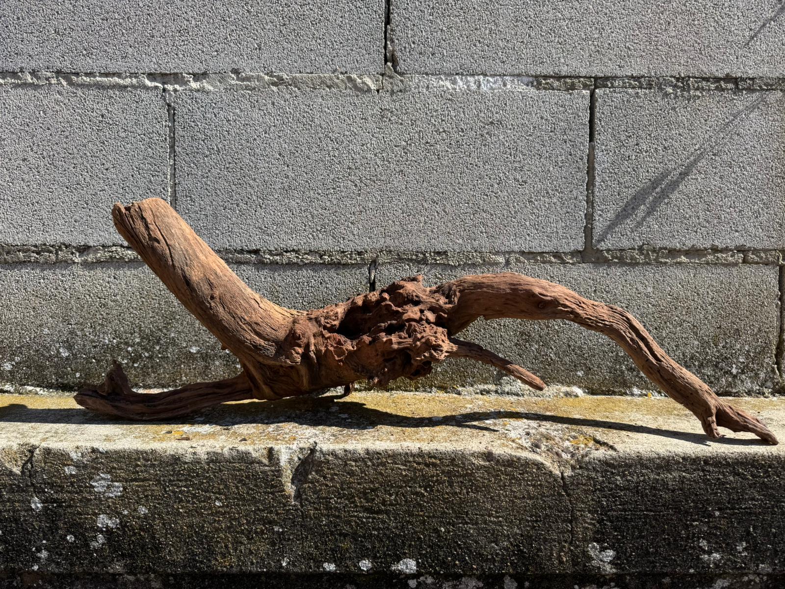 Drift Wood - 69*18*22 - cod.074 AQPET