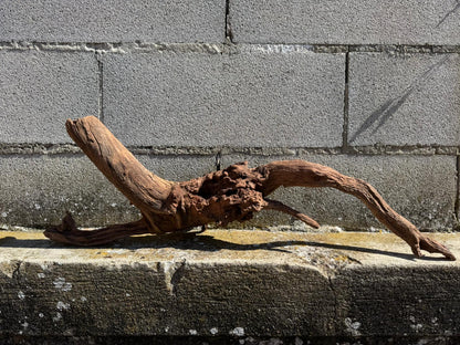 Drift Wood - 69*18*22 - cod.074 AQPET