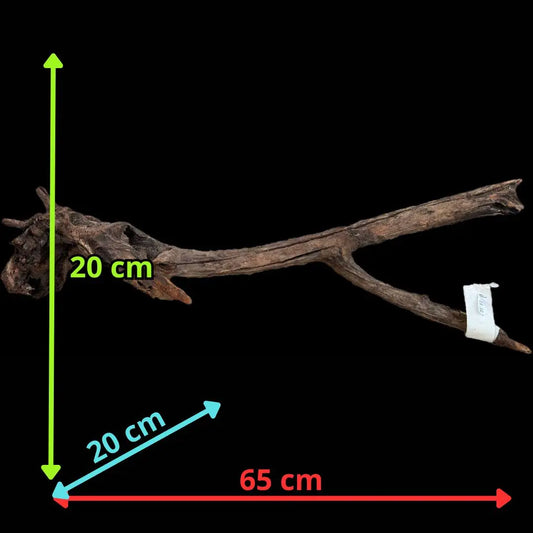Drift Wood - 65*20*20 AQPET