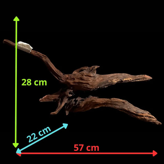 Drift Wood - 57*22*28 - cod.025 AQPET