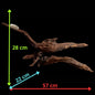 Drift Wood - 57*22*28 - cod.025 AQPET