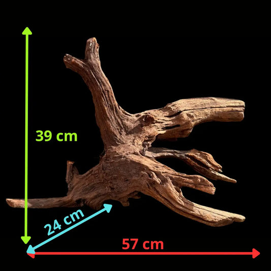 Drift Wood - 57*24*39 - cod.030 AQPET