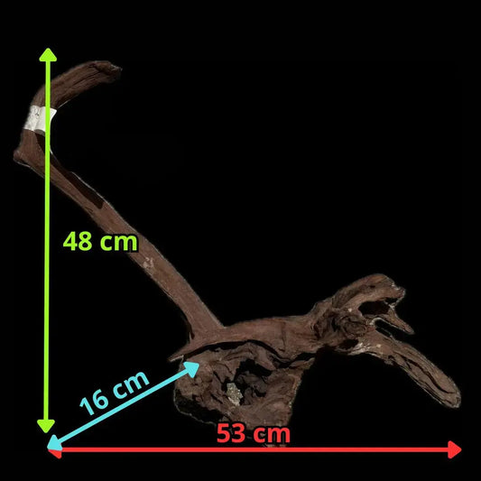 Drift Wood - 53*16*48 AQPET
