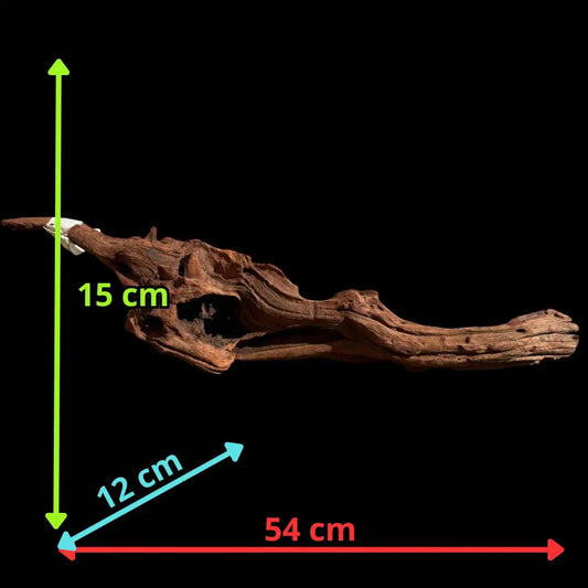 Drift Wood - 54*12*15 - cod.026 AQPET