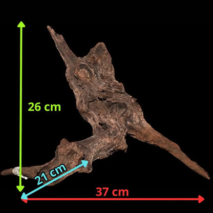 Drift Wood - 37*21*36 - cod.015 AQPET