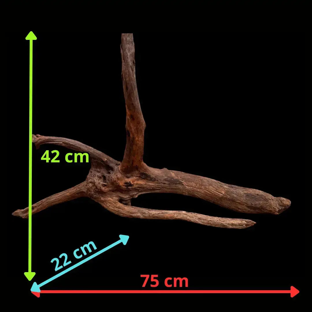 Drift Wood - 75*22*42 - cod.038 AQPET