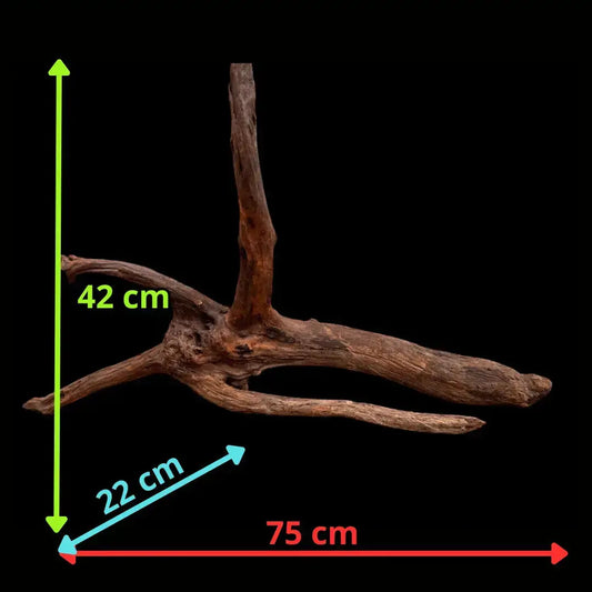 Drift Wood - 75*22*42 - cod.038 AQPET